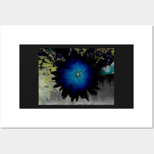 The Black and Blue Dahlia Posters and Art